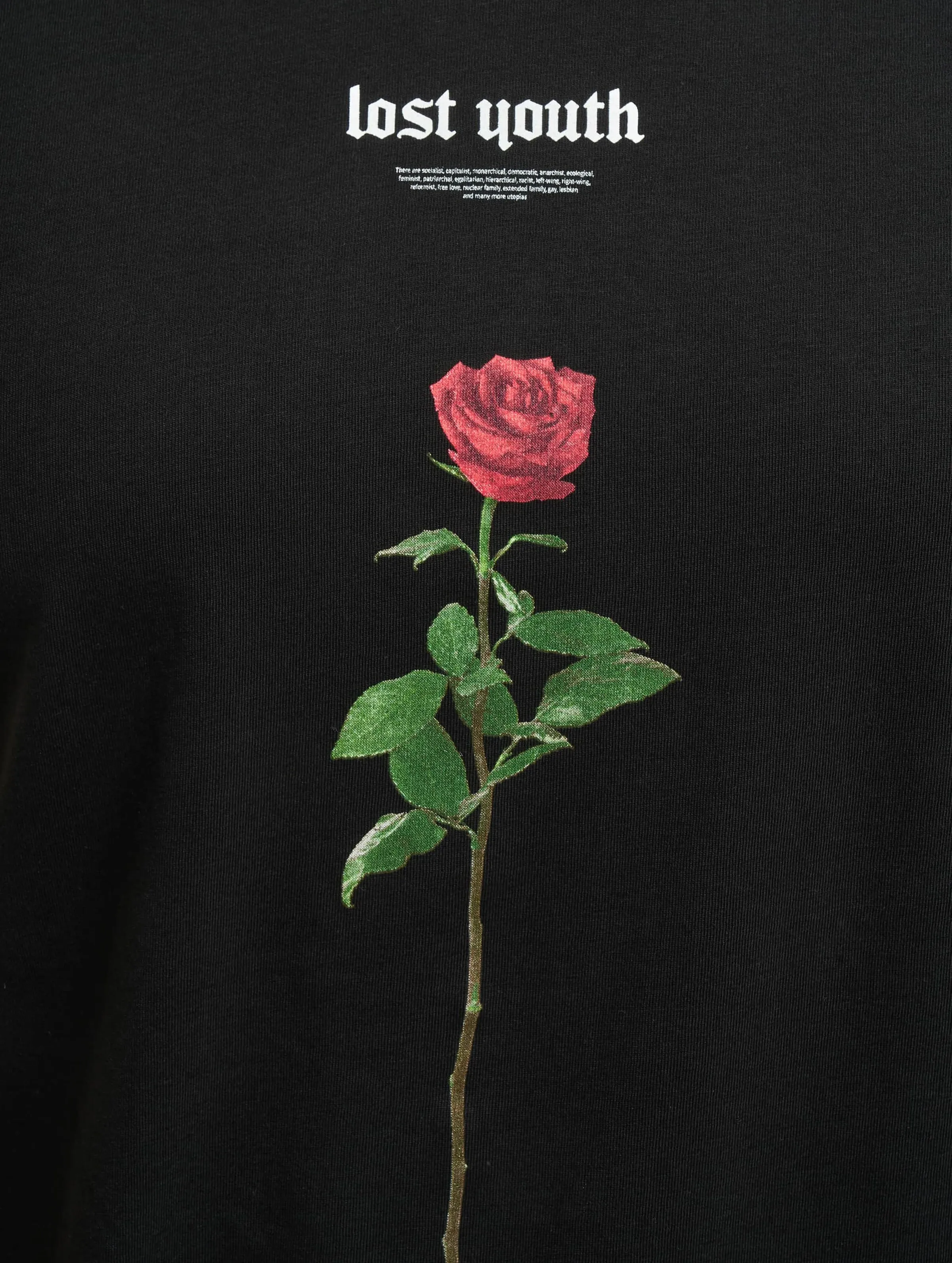 Lost Youth Rose